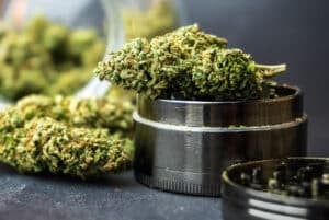 Medical Marijuana flower buds in glass jar and grinder on dark backdrop